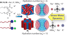 ion specific confined water dynamics